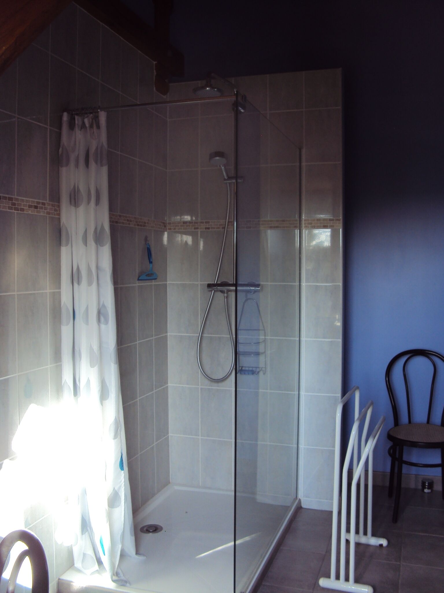 A shower area with a glass door, a showerhead, and a handrail.