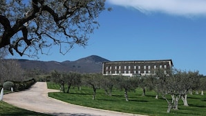 Exterior - Grand Hotel garden (Barile)