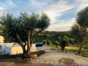 Property grounds - New opening of the holiday home: CASAL REGINA (Almoinha)