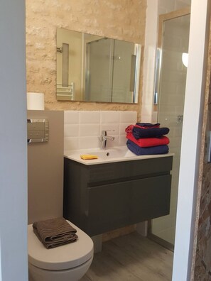 Shower, hair dryer, towels, toilet paper - Studio Marais Poitevin (Benet)