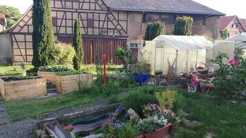 Terrein van de accommodatie