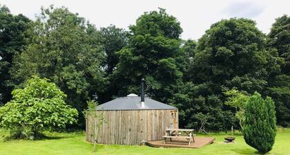 Apothecary yurt, a herbal retreat in field and woodland surroundings