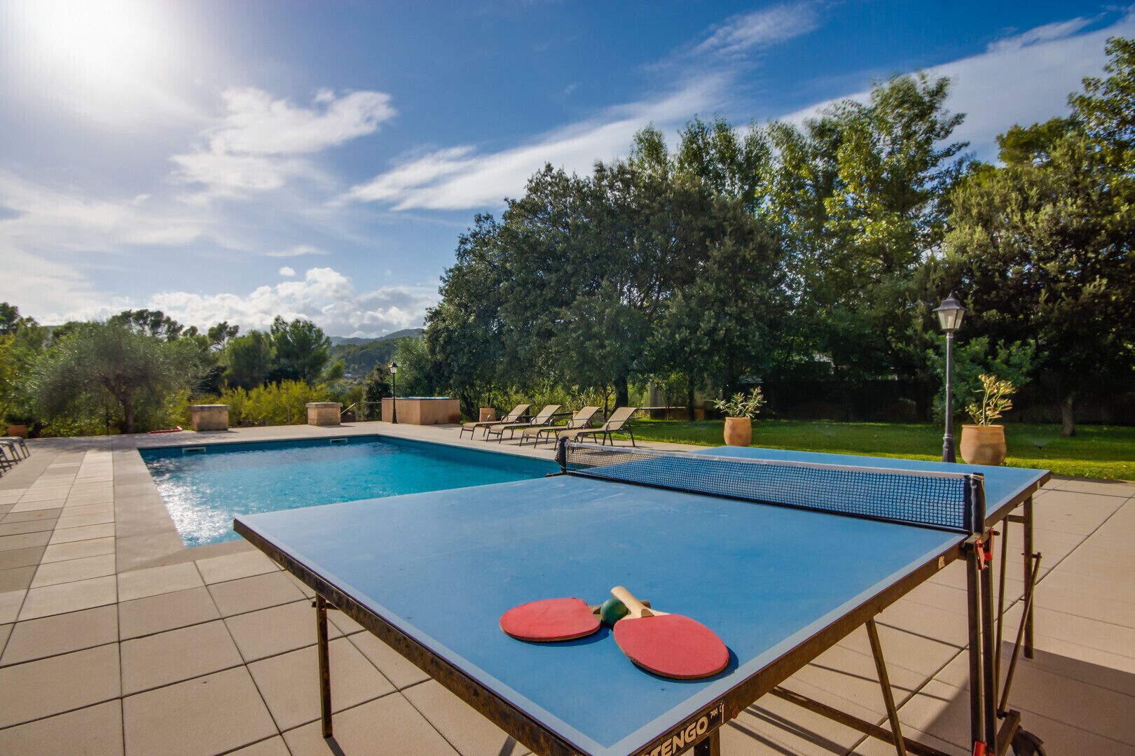 A ping pong table with two paddles in front of a swimming pool, surrounded by lounge chairs and potted plants.