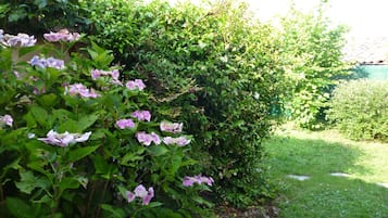 Detalle exterior