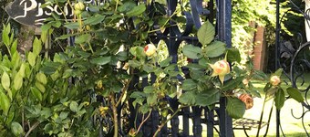 Room "Les Poiriers Rouges