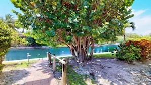 Property grounds - B1 1bed/porch (Sanibel)