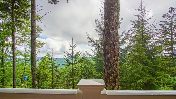 A view from a balcony with a railing, overlooking a forested area with tall trees and a distant mountain range.