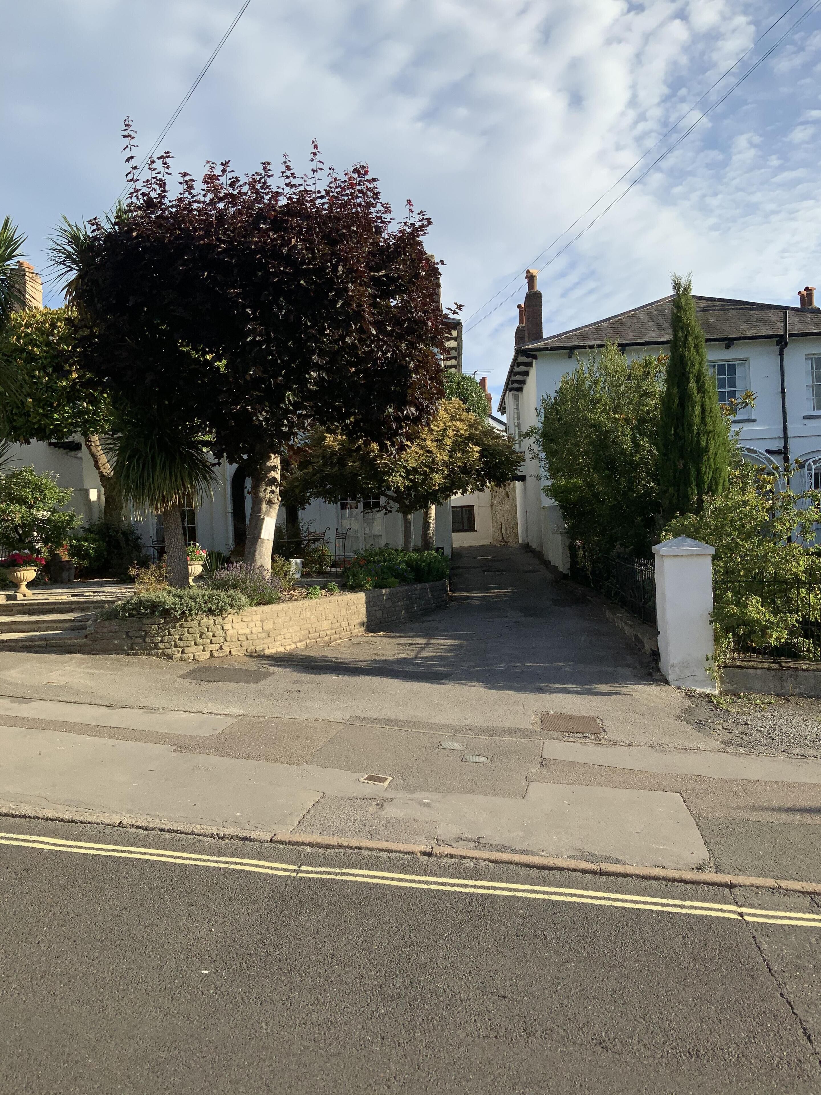 A residential street with houses, a tree-lined driveway, and a clear sky.