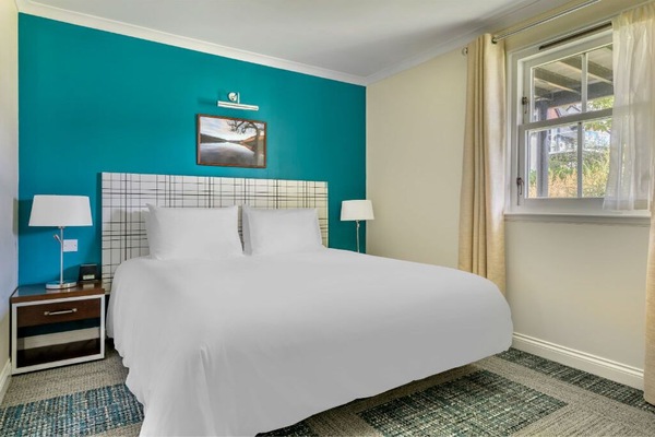 Bedroom featuring a striking accent wall and comfortable furnishings for a restful stay.