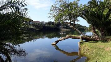 A calm lake with a wooden bridge, surrounded by lush greenery and palm trees.