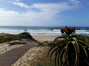 بالقرب من الشاطئ