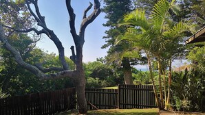 A backyard with a wooden fence, a large tree, and various tropical plants. - Fisherman's Cottage (Port Edward)