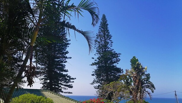 A house with a green roof, surrounded by lush greenery and a view of the ocean. - Greengates Cottage (Port Edward)