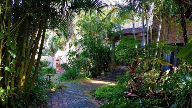 Taman