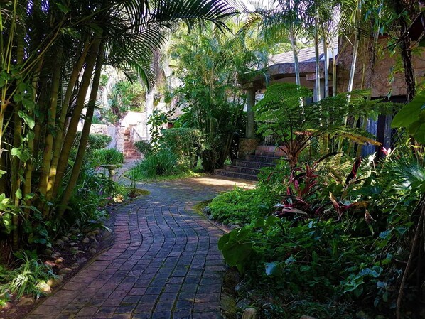 Garden - Rock Inn (Margate)