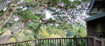 Rock Inn
