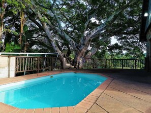 Outdoor pool - Rock Inn (Margate)
