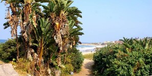 Departamento | Vista a la playa o el mar