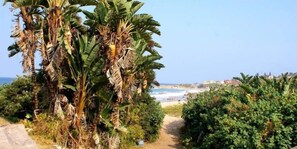 Am Strand