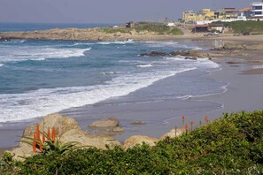 On the beach - Whaleback Cottage (Margate)