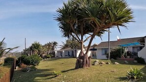 A residential area with a well-maintained lawn, a large tree, and houses with satellite dishes. - Southern Comfort - On the Rocks (Margate)