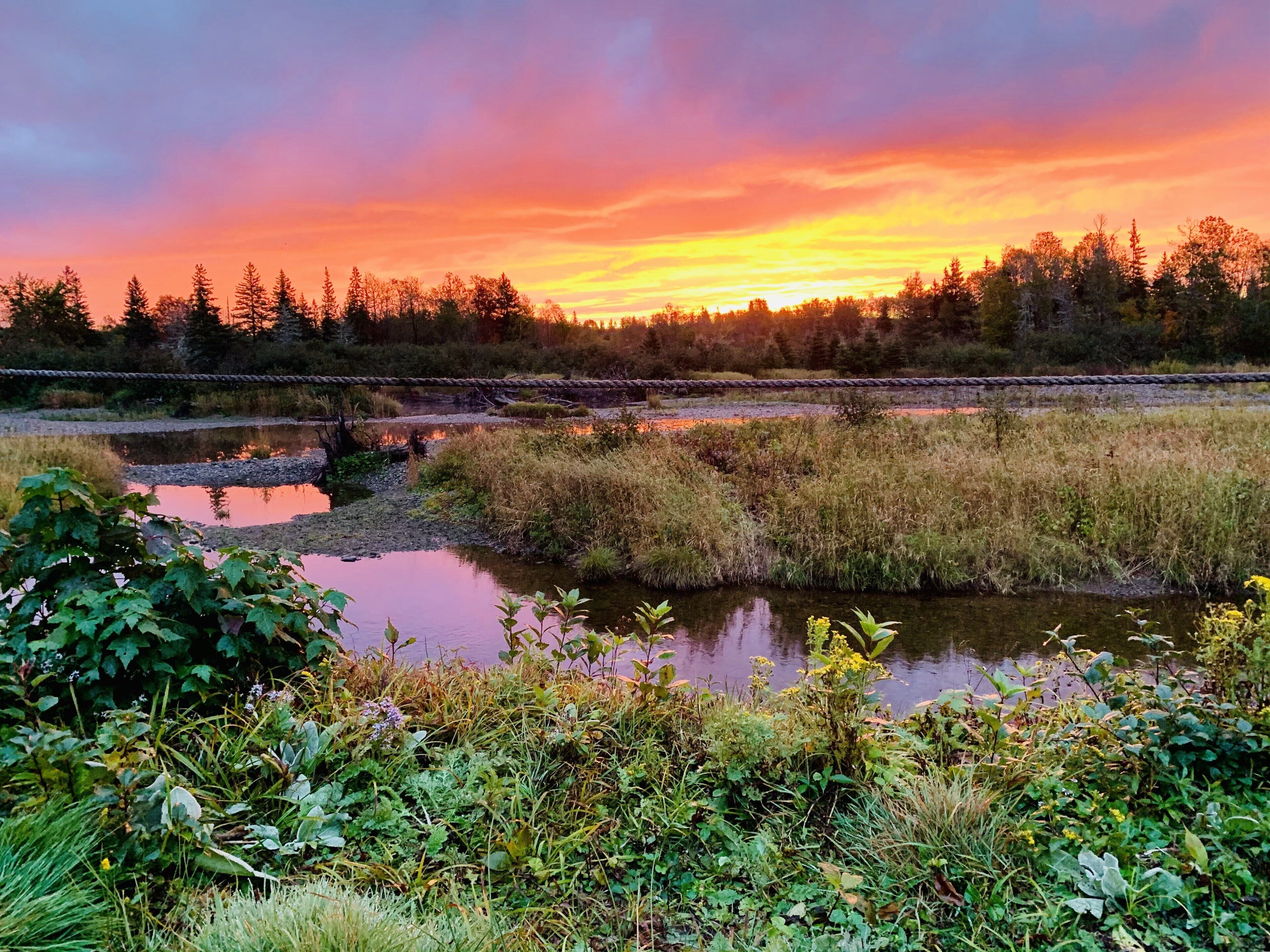 Un paysage naturel avec une rivière, une forêt dense et un coucher de soleil.