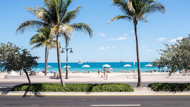 A beachside promenade with palm trees, a clear blue sky, and the ocean in the background.