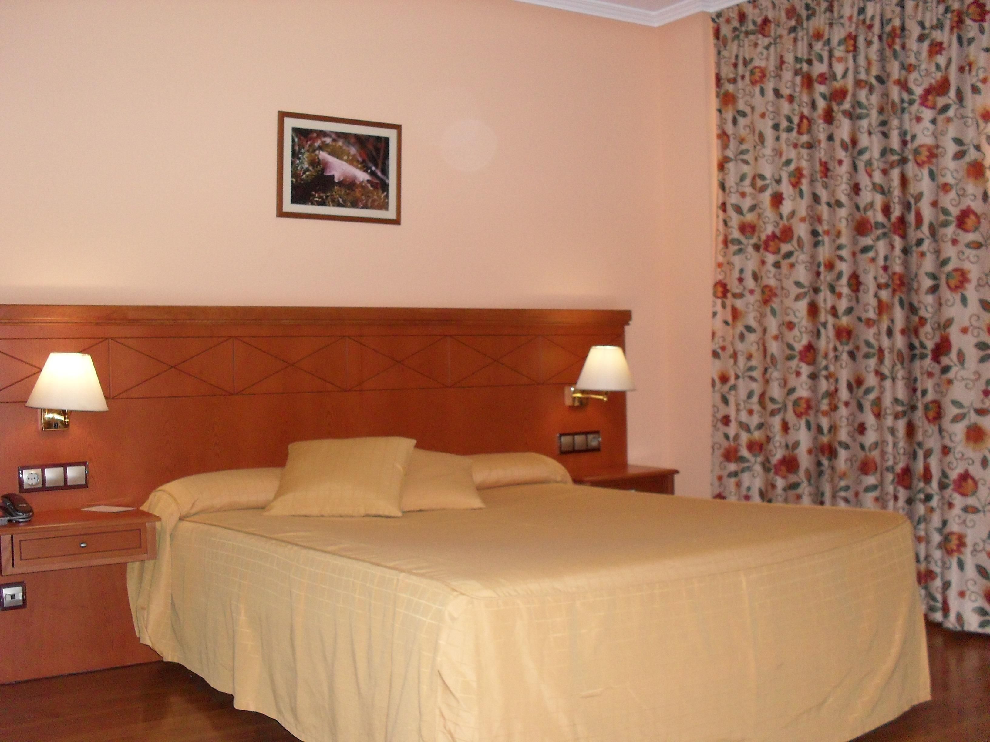 Habitación de hotel con una cama grande, dos lámparas de noche, una mesita de noche, un enchufe y cortina estampada.