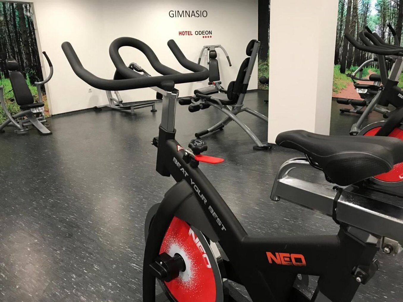 A gym with stationary bikes, a wall with 'GIMNASIO HOTEL ODEON' text, and a black floor.
