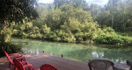 Weeki Wachee MAIN RIVER