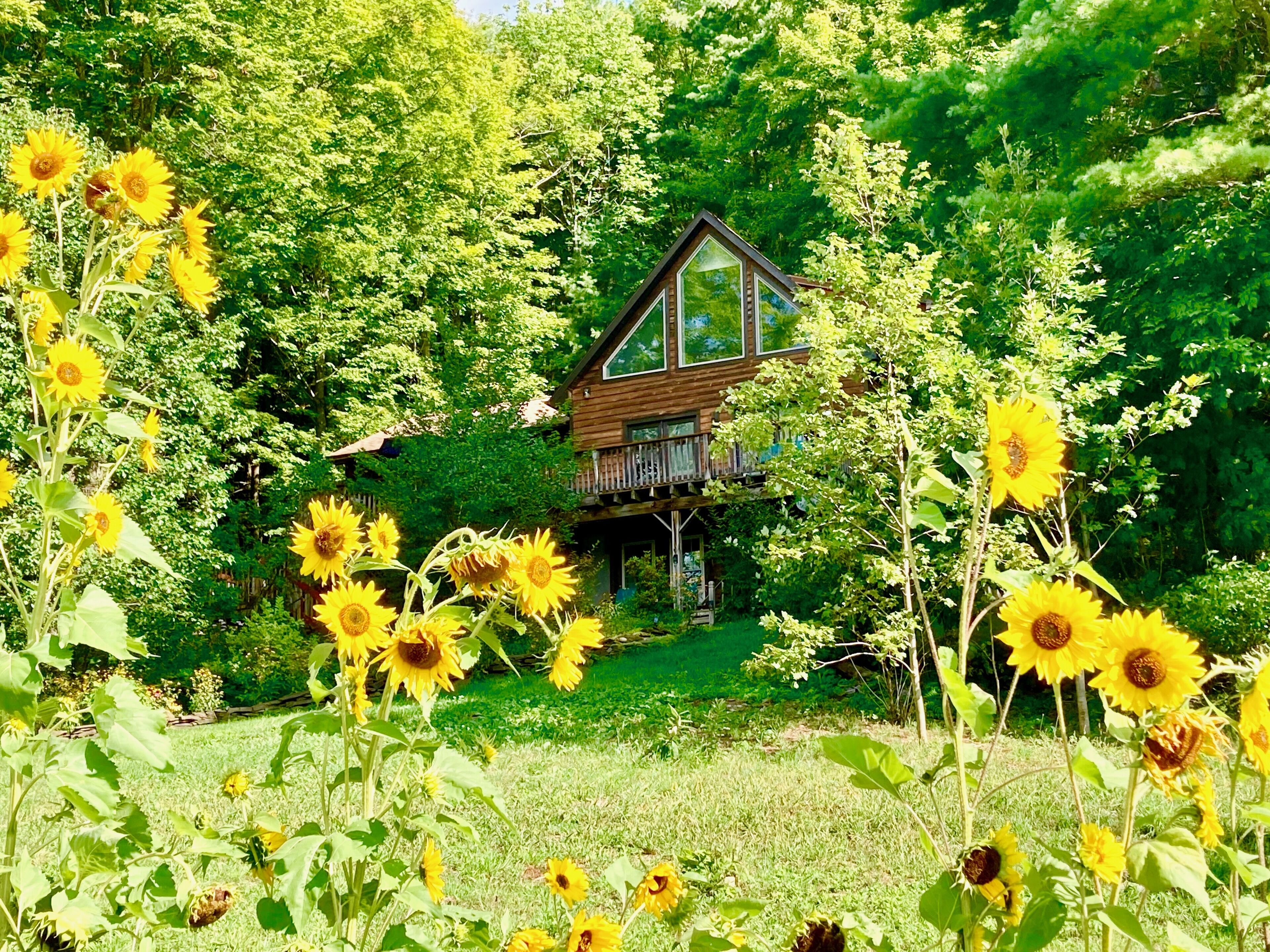Guest suite is located on the ground floor of the house.