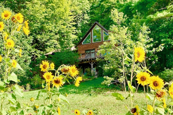 Guest suite is located on the ground floor of the house.