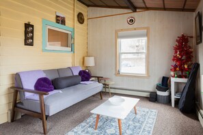 Smart TV, chimenea, videojuegos y libros 