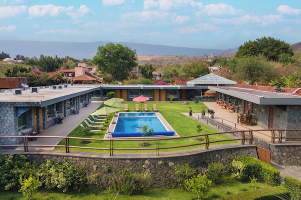 Outdoor pool, pool umbrellas, sun loungers