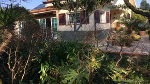A house with a tiled roof, a garden with various plants, and a clear blue sky. - At 8km from the sea two-story apartment in villa (Cisano Sul Neva)