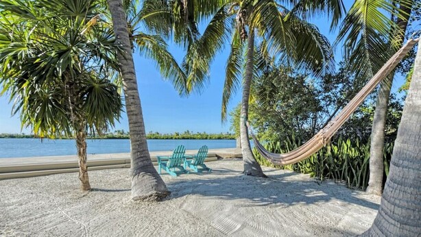 Une plage avec un hamac, des chaises vertes et des palmiers.