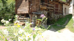 A rustic wooden cabin with a stone foundation, surrounded by greenery and blooming flowers. - Rustico Rudico by Interhome (Semione)