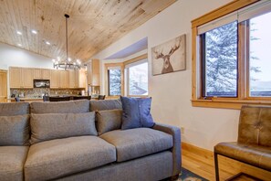 Smart TV, fireplace, DVD player, books