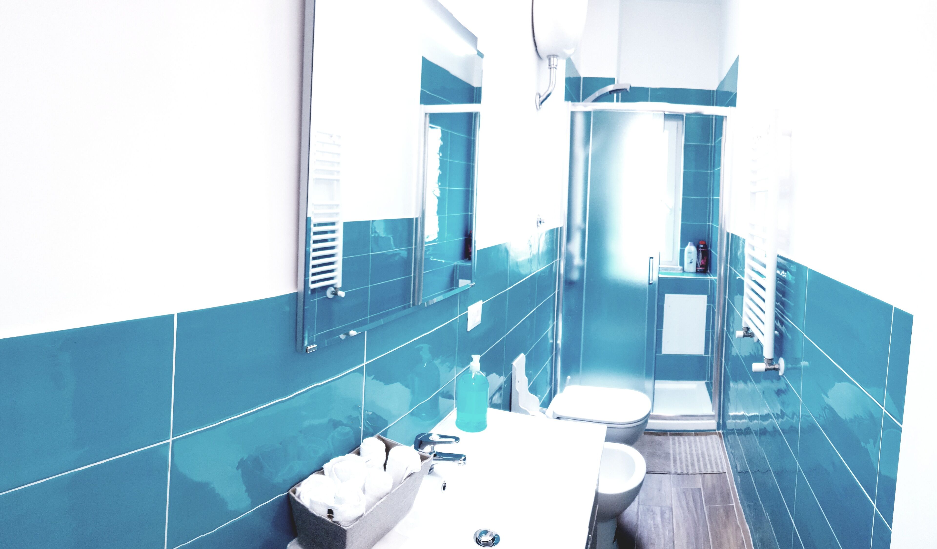 Dusche, Haartrockner, Bidet, Handtücher