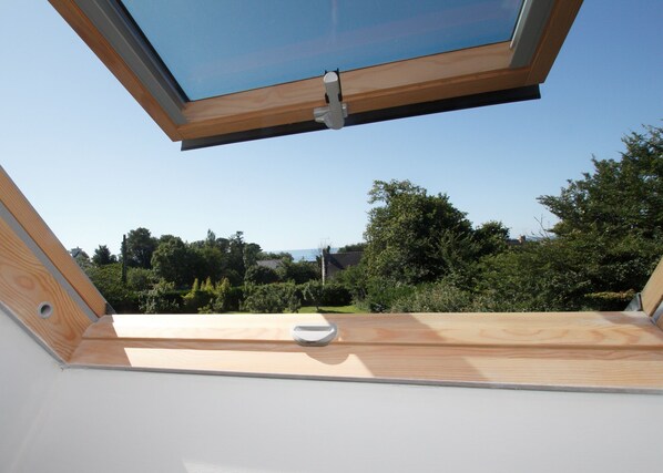 A skylight with a view of a garden and trees.