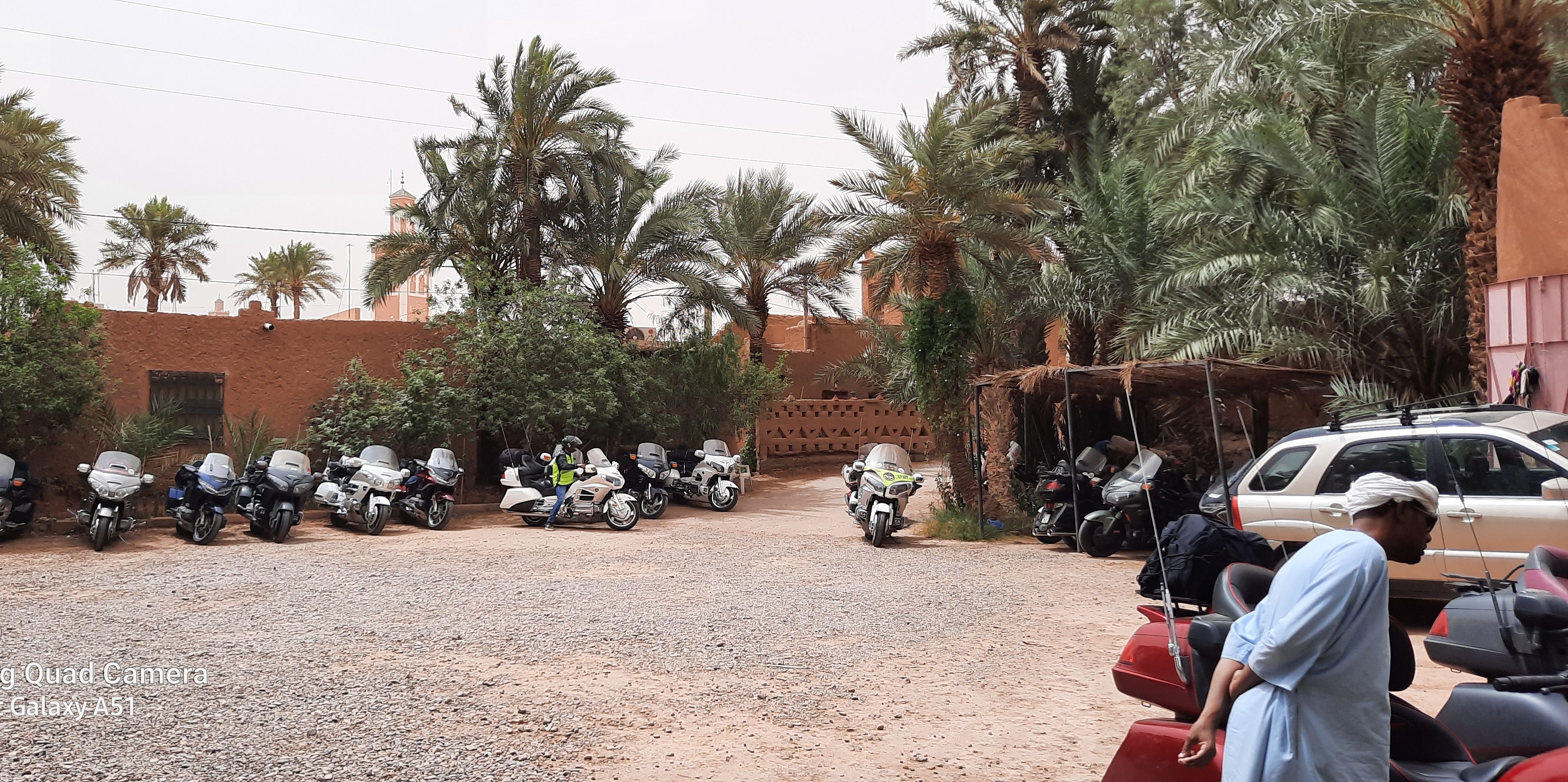 A row of motorcycles parked along a dirt road with palm trees and a building in the background.