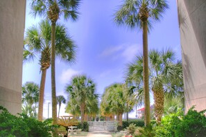 Stroll along the serene pathway lined with lush greenery and palm trees, leading to a tranquil outdoor seating area beneath a clear sky.