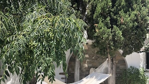 Una hamaca entre árboles en un patio con suelo de piedra y pared de piedra.