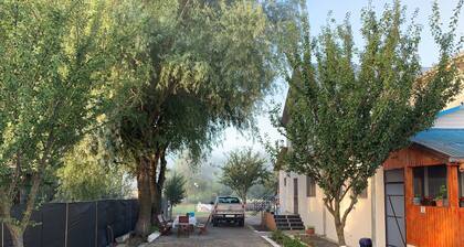 Despre Delta Magic Caleidoscop al unor peisaje mereu inedite