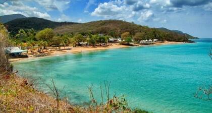 Villa Tara (6p) 3 chambres, piscine, jardin, plage 300m