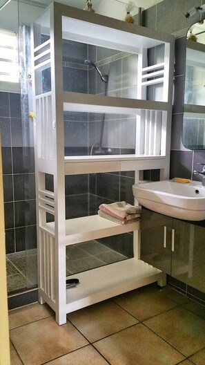 Shower, hair dryer, towels