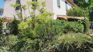 Un edificio blanco con contraventanas verdes, rodeado de vegetación y un cielo azul despejado.