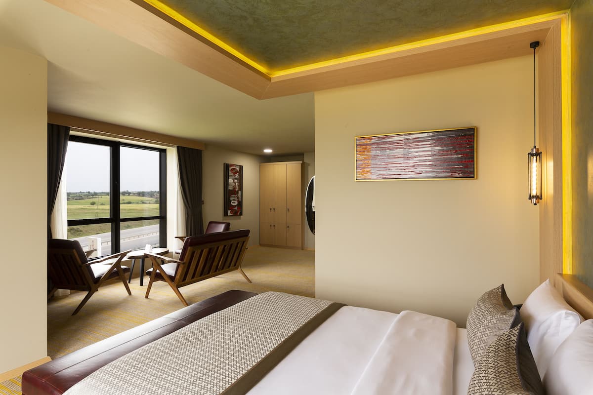 deluxe double room | 1 bedroom, egyptian cotton sheets, premium bedding, minibar
