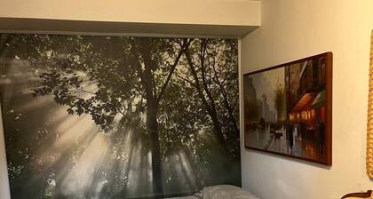 Cosy Central Harlem studio, private entrance, ensuit , kitchenette,