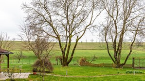 Ländliche Landschaft mit einem Pavillon, einem umzäunten Bereich und einem Weg, der zu einem Feld führt.